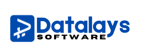 Datalays Software logo